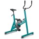 Pool Wasser grün V2 AquaNess Fahrrad